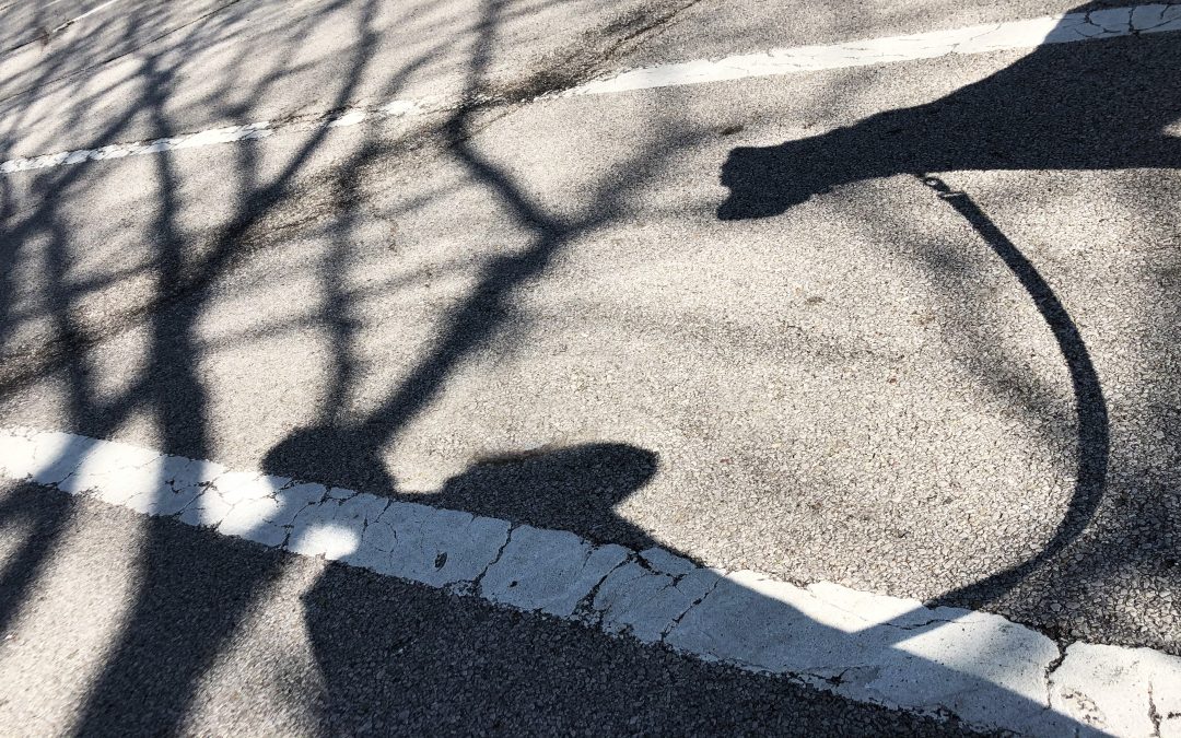 Art can be made anywhere – a girl and her dog in the middle of the street