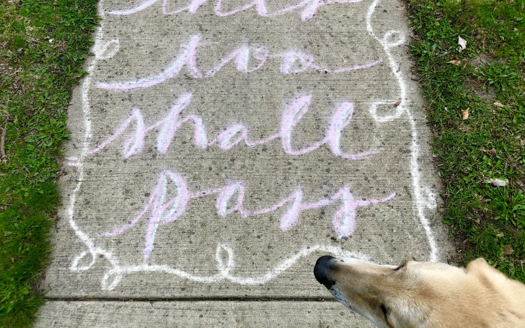 It’s a beautiful day in the neighborhood